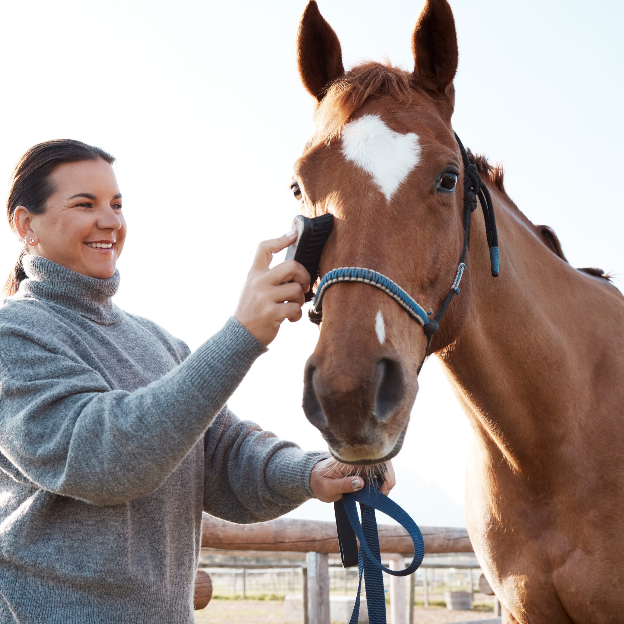 Shot of an attractive young woman brushing her horse on a ranch.
